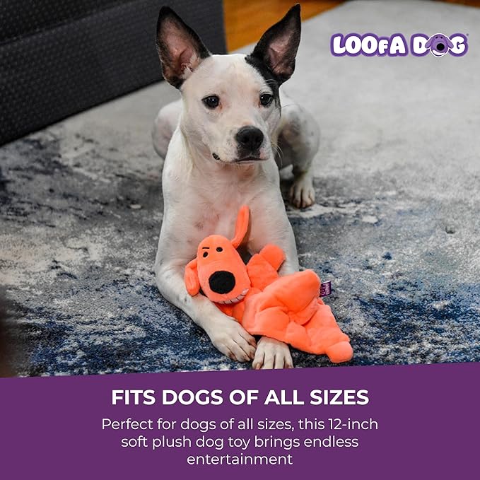 Multipet Original Loofa Dog Plush Toy Mat - Image 6