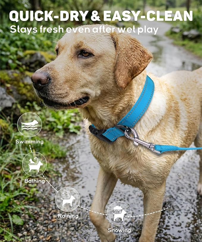 TagME Reflective Nylon Dog Collars, Adjustable Classic Pet Collar - Image 7