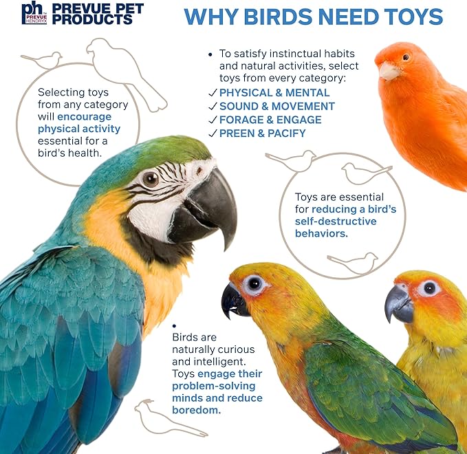 Prevue Pet Products Takeout - Image 6
