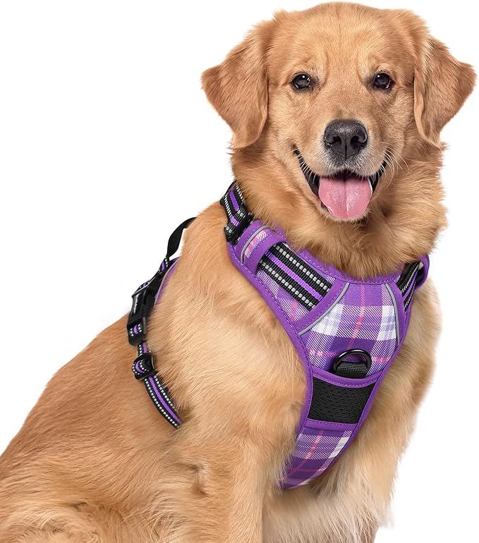 rabbitgoo Dog Harness No Pull by rabbitgoo