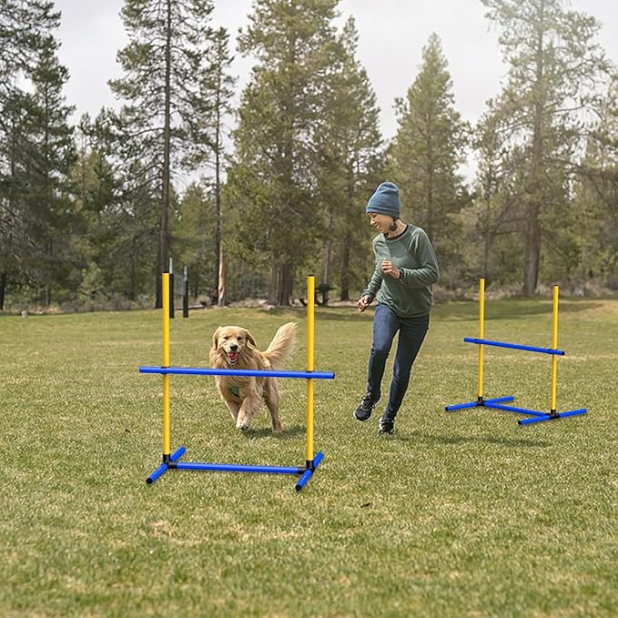 Dog Jumps Agility Equipment - Image 5