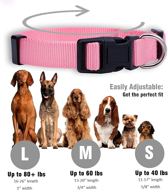 Native Pup Basic Nylon Dog Collar, Adjustable - Image 3