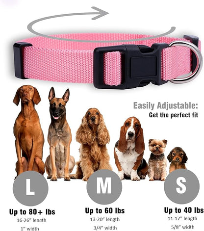 Native Pup Basic Nylon Dog Collar, Adjustable - Image 3