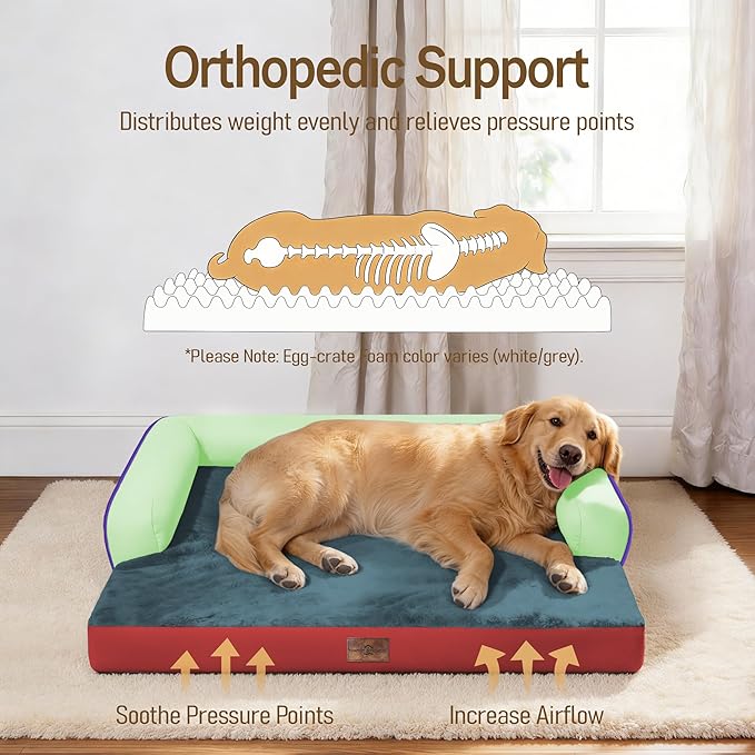 Comfort Expression Memory Foam Large Dog Bed Washable - Image 2
