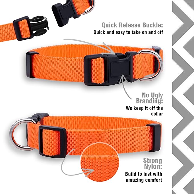Native Pup Basic Nylon Dog Collar, Adjustable - Image 4