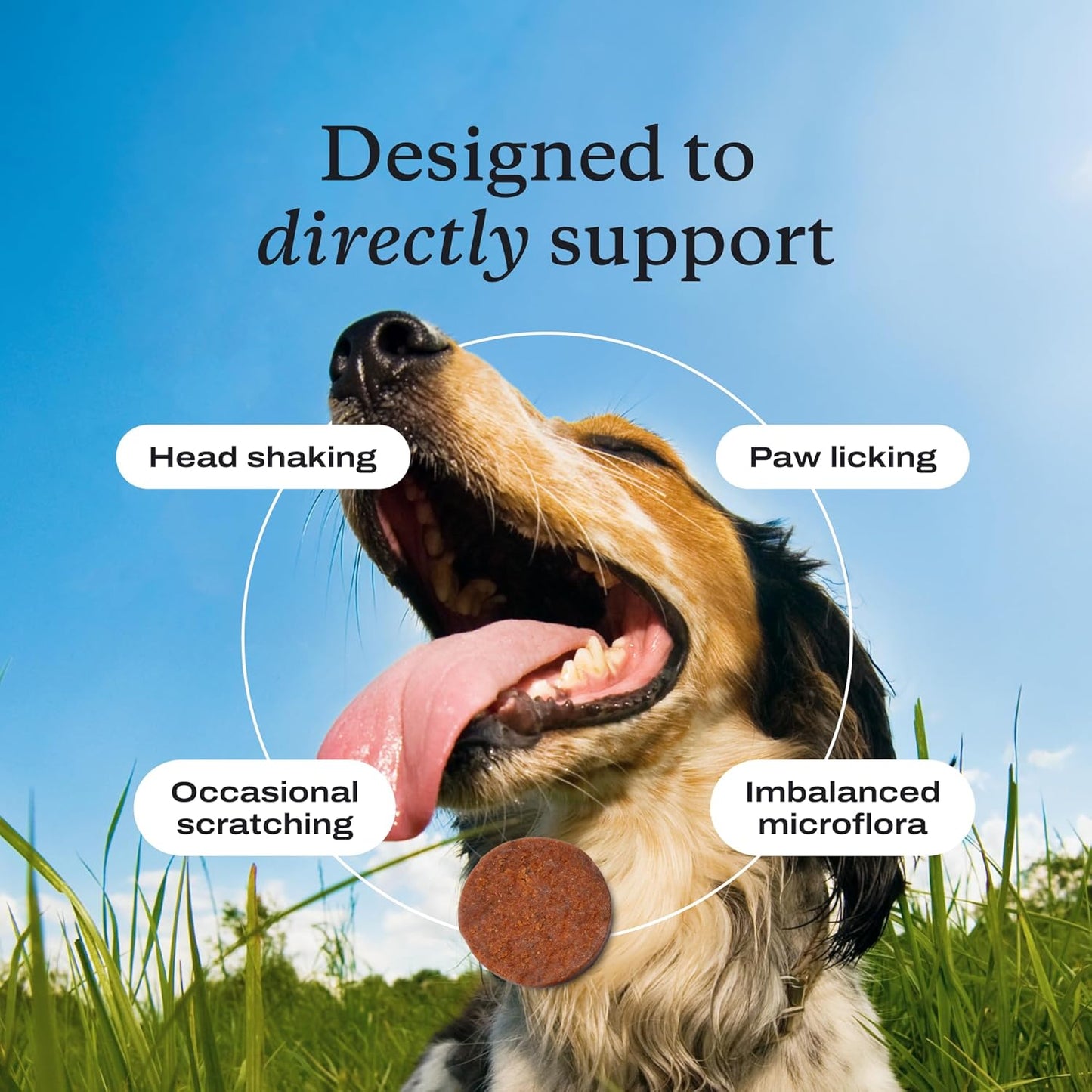 PetLab Co. Allergy & Immune Daily Probiotics for Dogs. Supports Yeast Production, Seasonal Allergies, Intermittent Itchiness, Gut & Digestive Health for Medium Size Dogs, Packaging May Vary