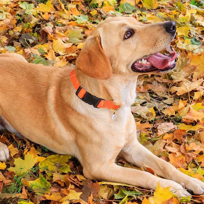 Cotton Handmade Dog Collar Cute and Distinctive Patterns Orange Fish - Image 7