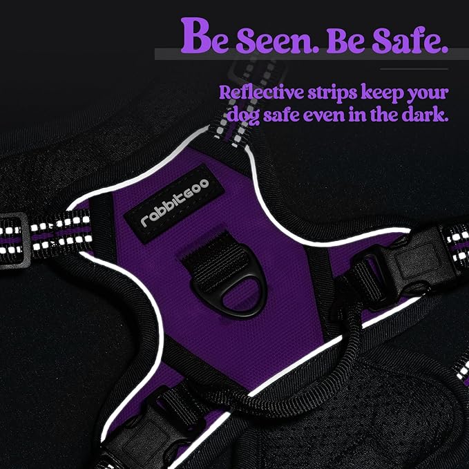 rabbitgoo Dog Harness No Pull - Image 7