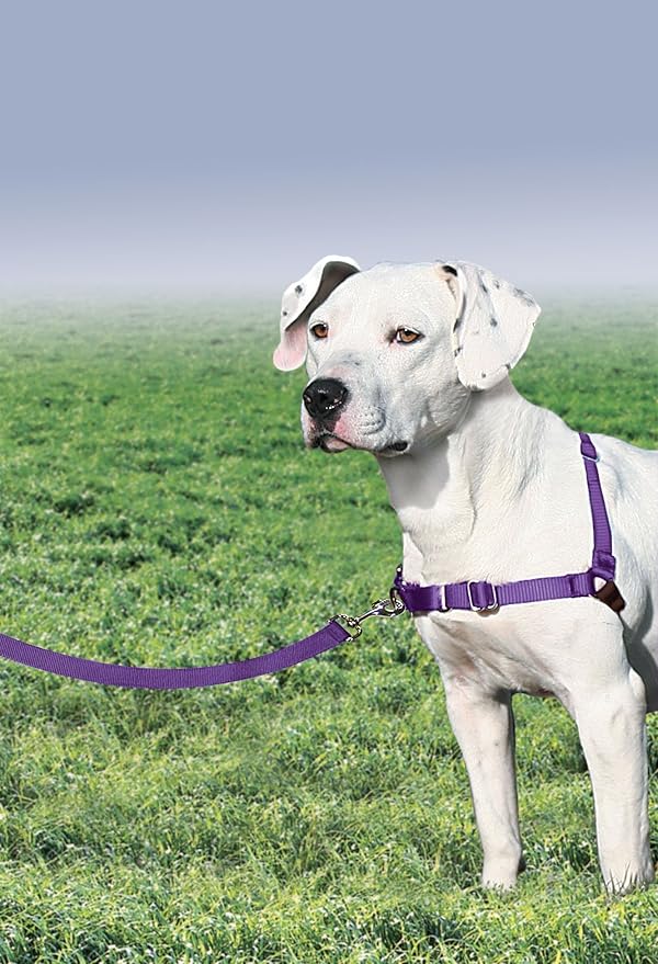 PetSafe Easy Walk No-Pull Dog Harness - Image 3