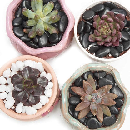 Black Small Decorative Pebbles - Image 5