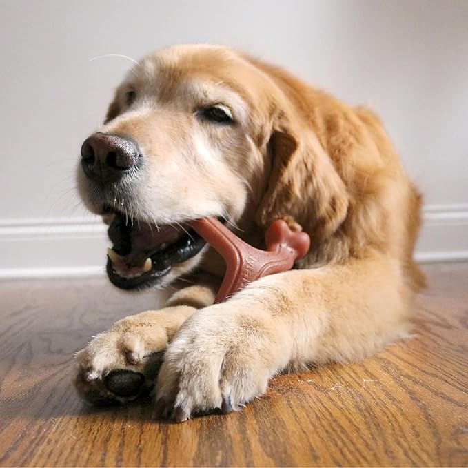 Nylabone Strong Chew Wishbone Dog Toy Made - Image 5
