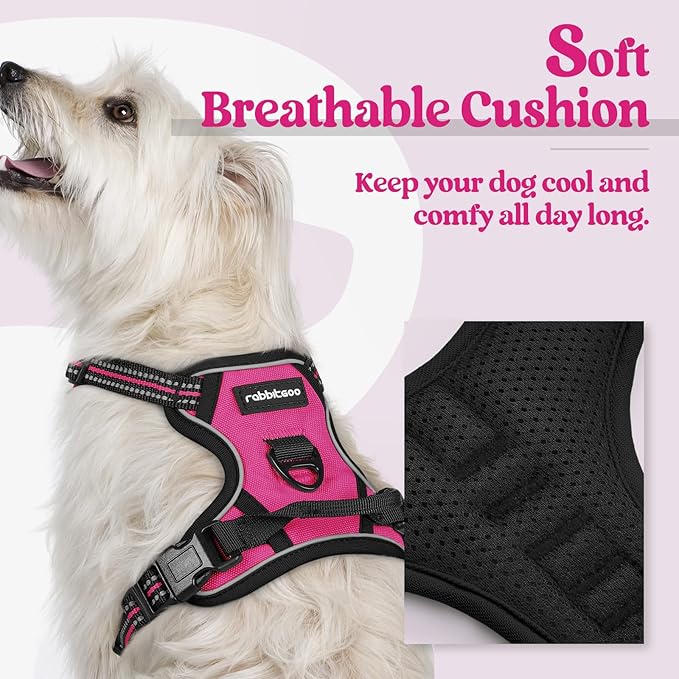 rabbitgoo Dog Harness No Pull - Image 2