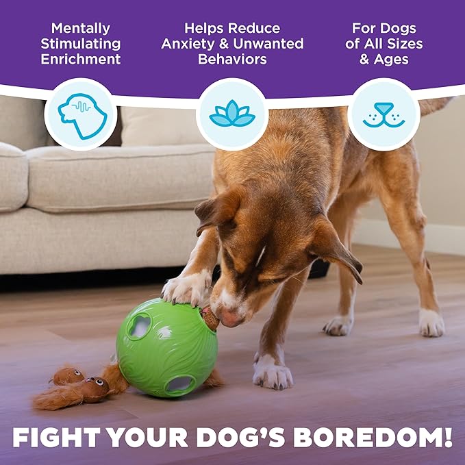 Outward Hound by Nina Ottosson Dog Snuffle N' Treat Ball Puzzle, Level 2 - Image 3