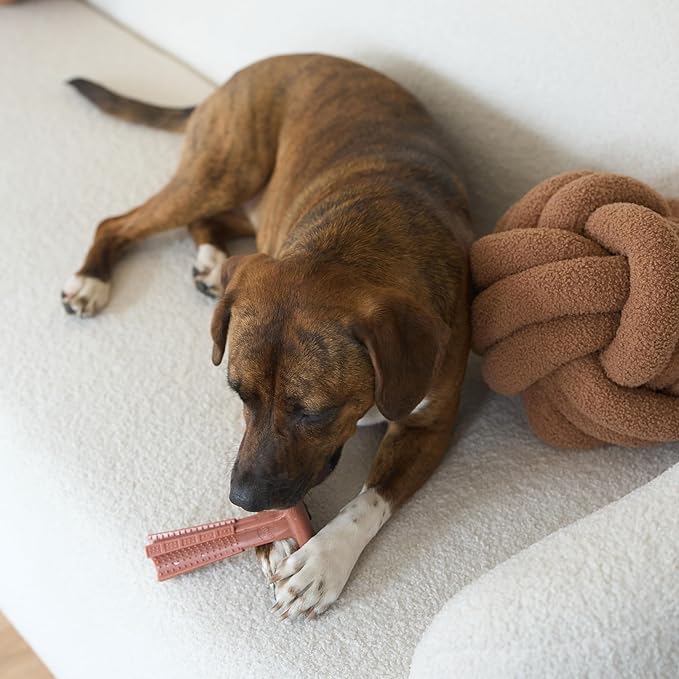 SPOT Bam-Bones Plus T Bone – Bamboo Fiber & Nylon Dog Chew Toy - Image 12