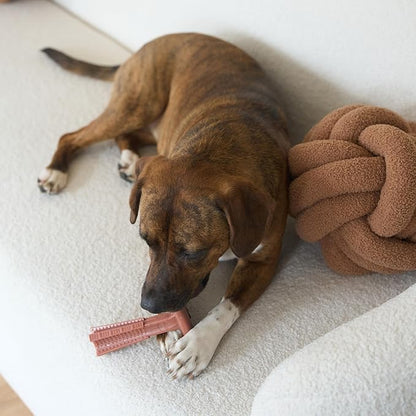 SPOT Bam-Bones Plus T Bone – Bamboo Fiber & Nylon Dog Chew Toy - Image 12