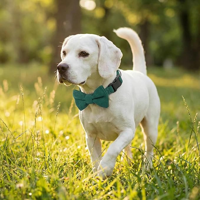 THAIN Dog Collar with Bow Tie Corduroy, Breathable&Adjustable Quick Release - Image 6