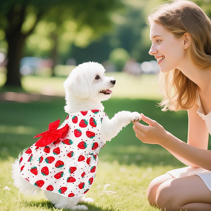 choyaxo Floral Dog Dress Cute Dog Skirt Pet Dress Summer Pet Clothes - Image 5