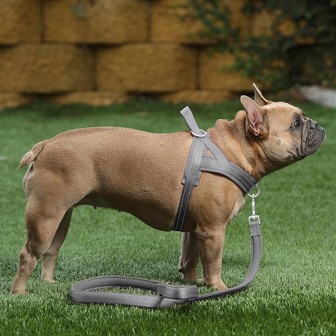 Plutus Pet No Pull Dog Harness - Image 5