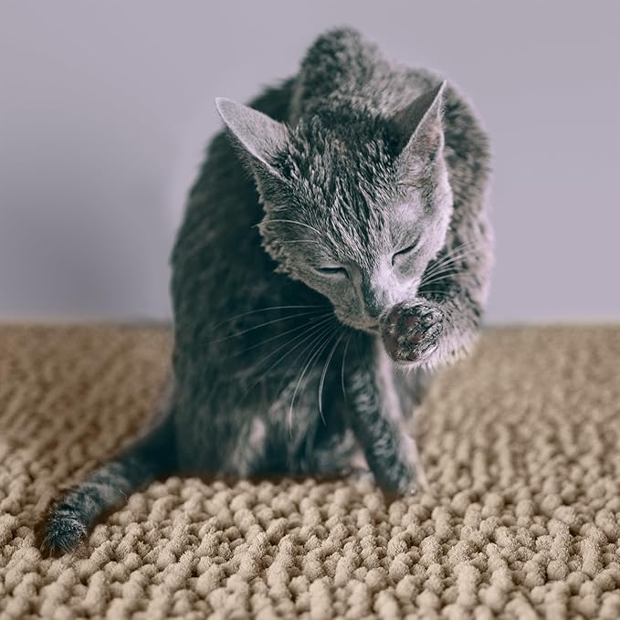 CatGuru Cat Litter Mat, Extra Large, Waterproof Litter Box Mat, Non Slip Kitty - Image 5