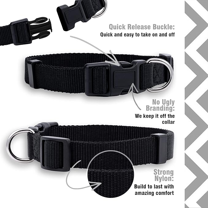 Native Pup Basic Nylon Dog Collar, Adjustable - Image 4