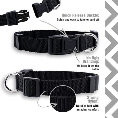 Native Pup Basic Nylon Dog Collar, Adjustable - Image 4