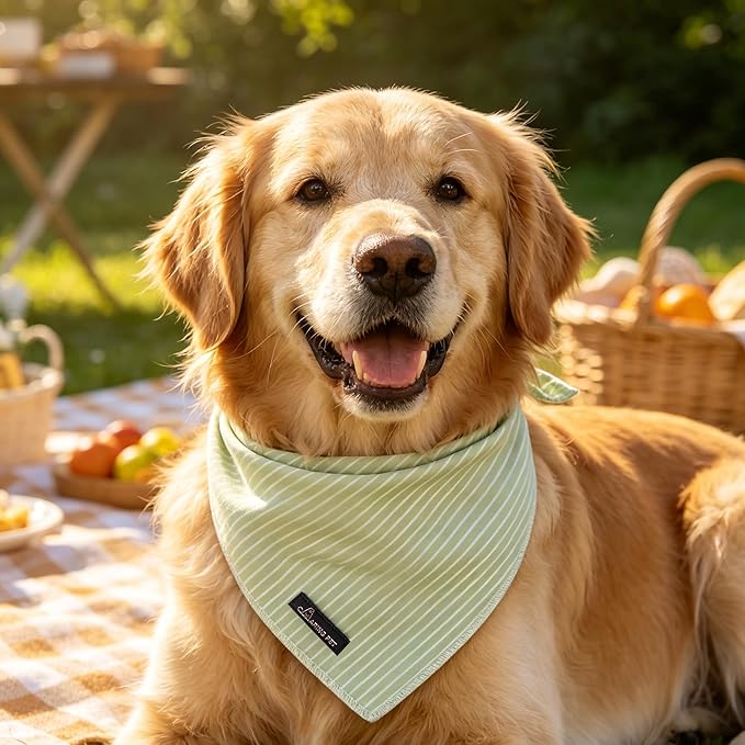 ARING PET Summer Dog Bandana, Cute Green Bandanas, Comfortable Pet Scarf - Image 5