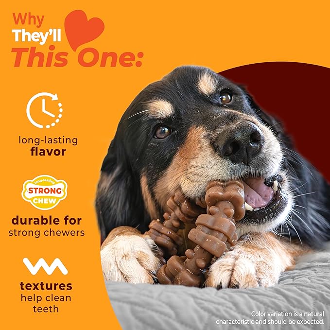 Nylabone Strong Chew Textured Ring Dog Toy Made - Image 3