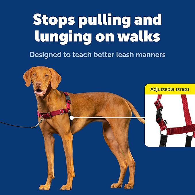 PetSafe Easy Walk No-Pull Dog Harness - Image 3