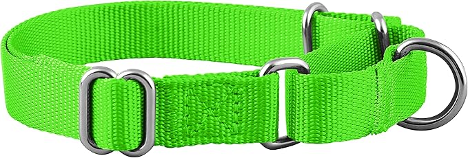 Native Pup Martingale Dog Collar, Adjustable - Image 2