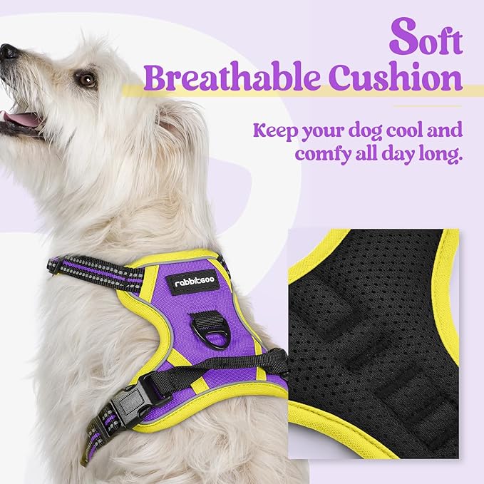rabbitgoo Dog Harness No Pull - Image 2