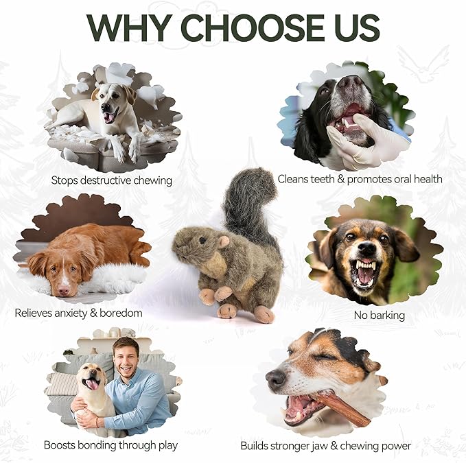 ALL FOR PAWS Classic Squirrel Pet Toys - Image 4