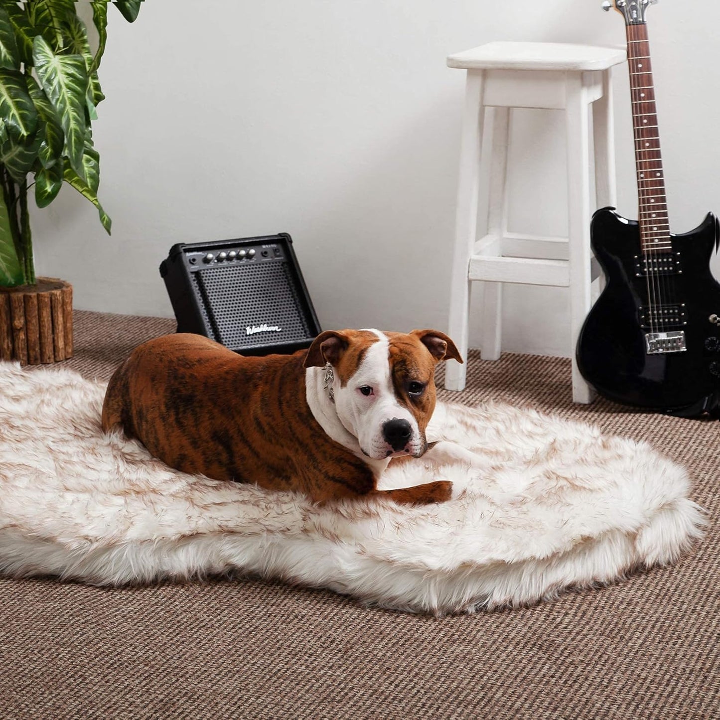 IHAPPYDOG Luxury Faux Fur Orthopedic Dog Bed, Memory Foam Dog Bed for Small, Medium, Large and XL Pets, Fluffy Pet Bed with Waterproof and Washable Cover (White w/Brown Tips, 60"x35")