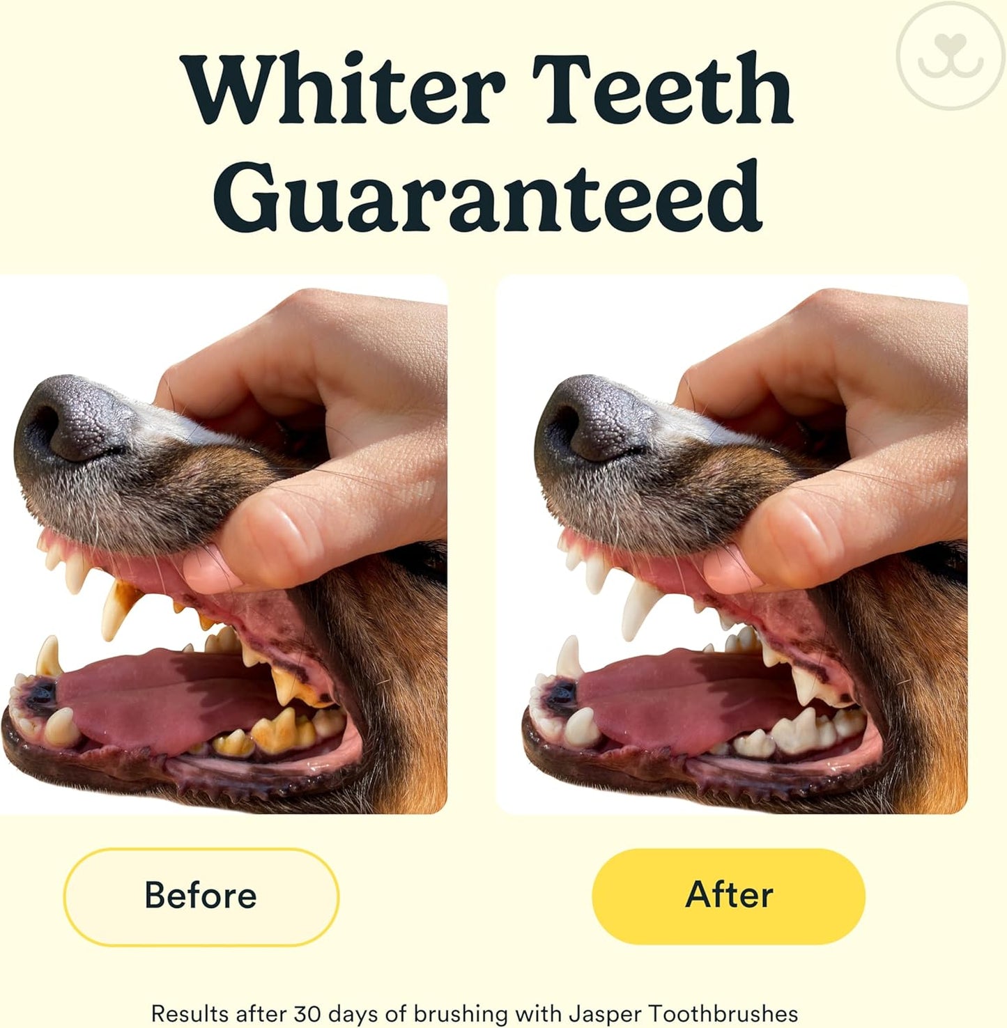 Jasper Dog Toothbrush, 360 Degree Pet Tooth Brushing Kit, Cat Toothbrush, Canine Dental Care & Teeth Cleaning Kit, Pet Finger Tooth Brush, Use with Dog Toothpaste, 4-Pack Neon