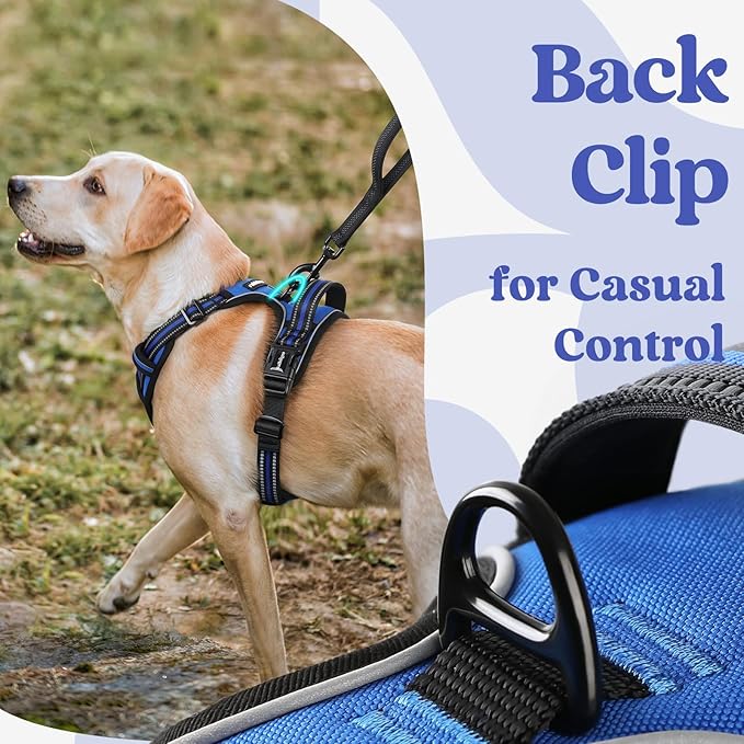 rabbitgoo Dog Harness Medium Sized, No Pull Easy On & Off - Image 6