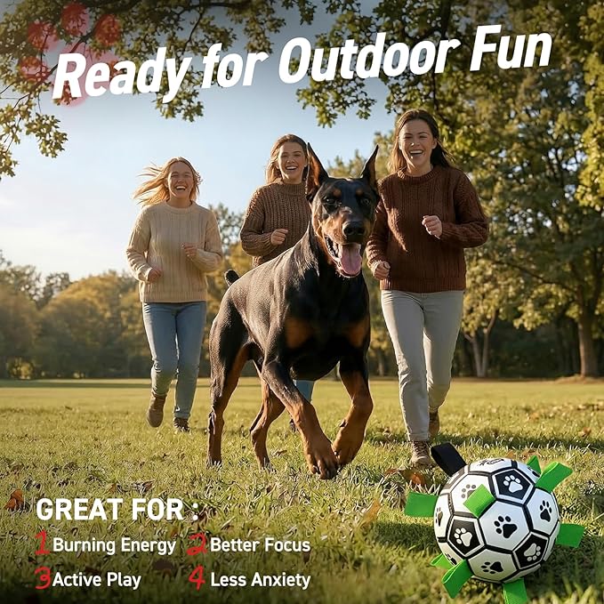 QDAN 10 Inch Gaint Dog Soccer Ball - Image 3