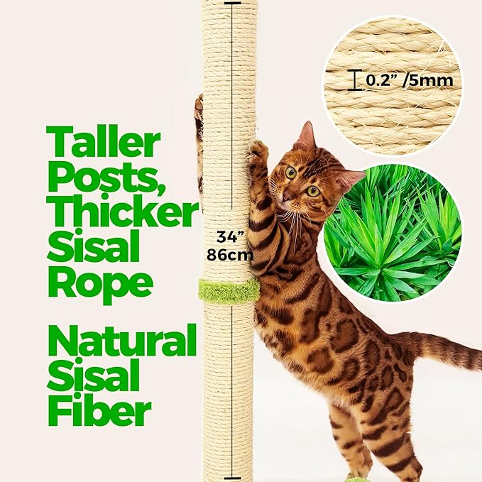 TINYBEAST 34" Tall Cat Scratching Post, Cat Scratcher Featuring Natural Sisal - Image 2