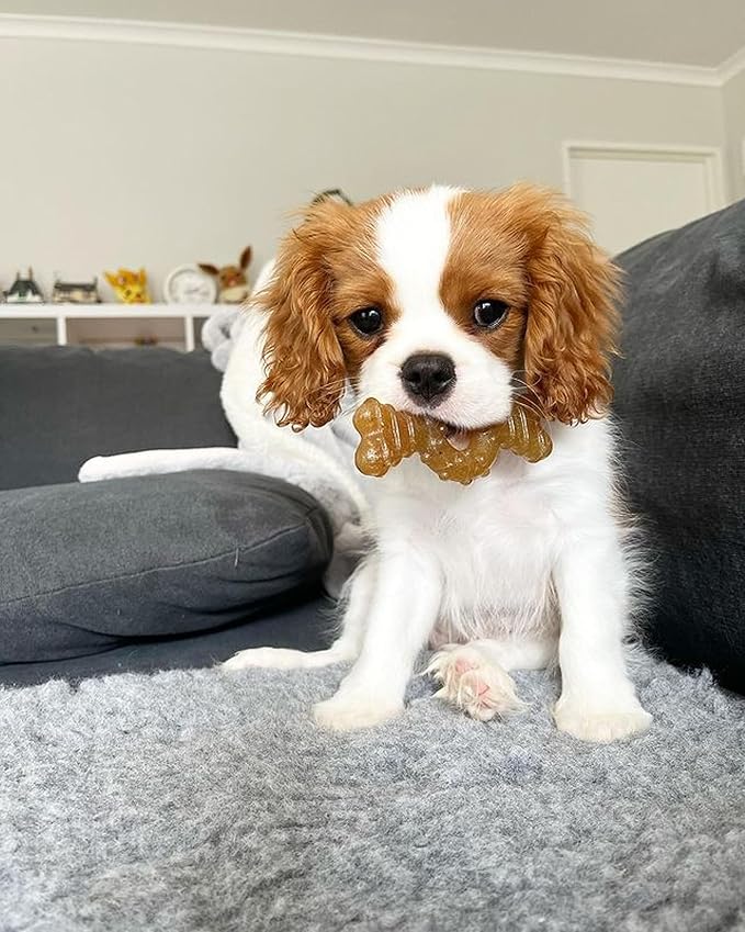 Nylabone Ring Bone Chew Toy for Puppies, Puppy Teething Toys, Puppy Enrichment - Image 2