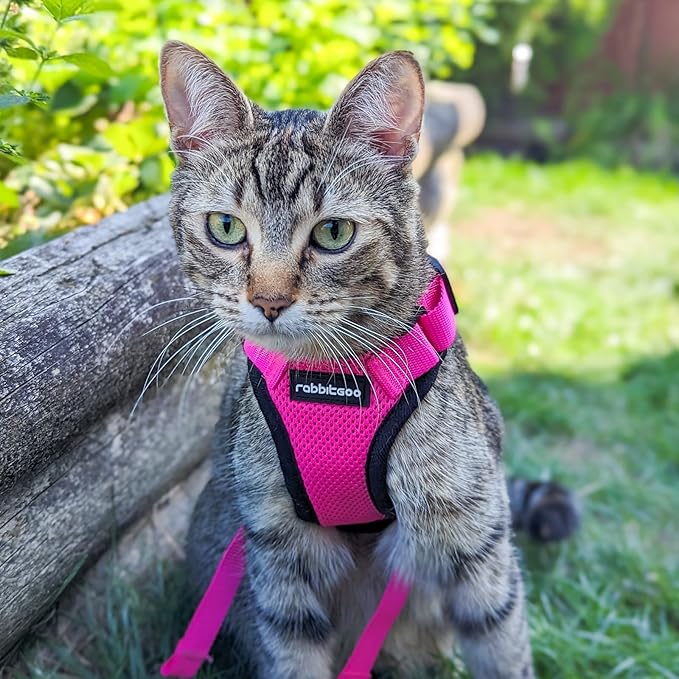 rabbitgoo Cat Harness and Leash Set, Escape Proof Vest Harness - Image 9