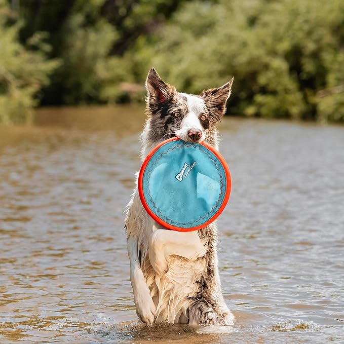 Chuckit! Paraflight Flying Disc Dog Toy - Image 2
