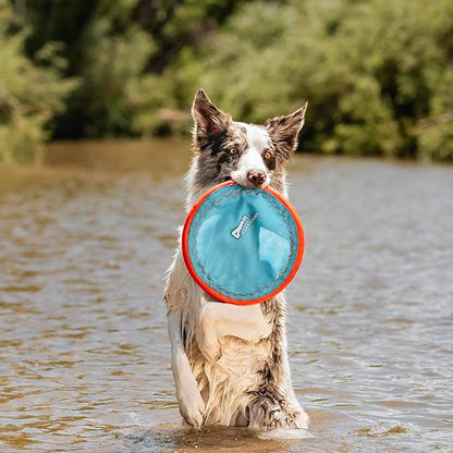 Chuckit! Paraflight Flying Disc Dog Toy - Image 2