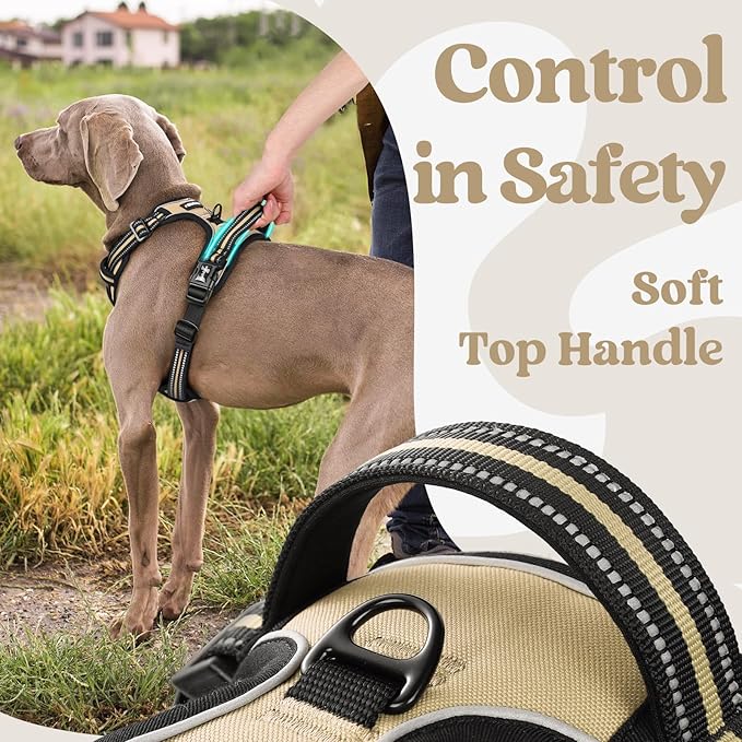 rabbitgoo Dog Harness for Large, No Pull Easy On & Off - Image 5
