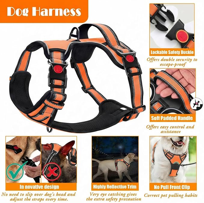 LOBEVE No Pull Dog Harness, Collar & Leash Set | Includes Dog Seat Belt - Image 4