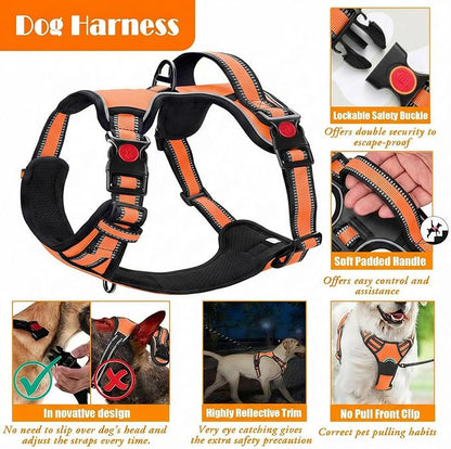 LOBEVE No Pull Dog Harness, Collar & Leash Set | Includes Dog Seat Belt - Image 4
