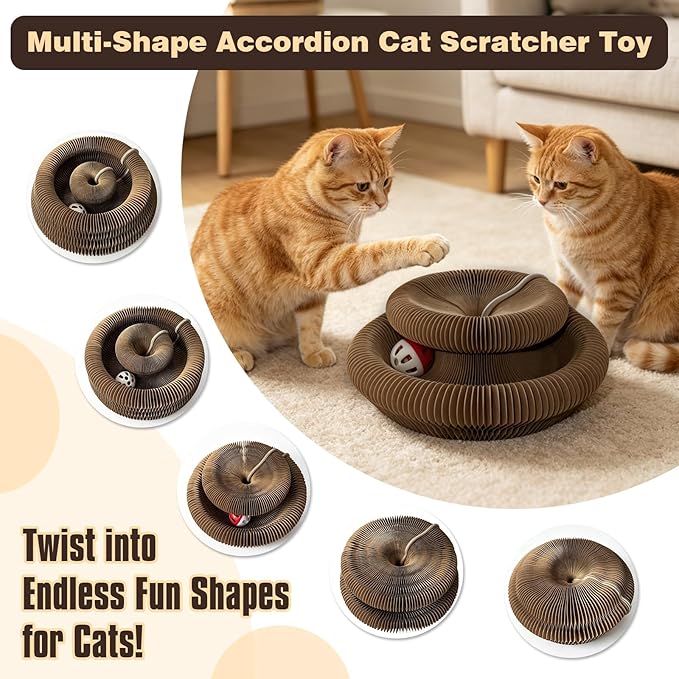2-Pack Cat Pad Scratcher Toys, Magic Organ Cat Toy & Kitty Curls Cat Toy - Image 4