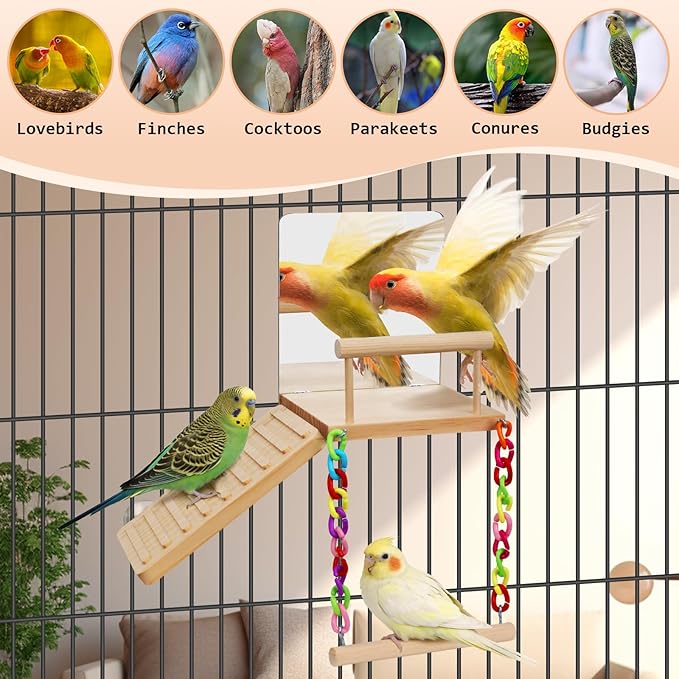Bird Perches Platform Swing - Image 3