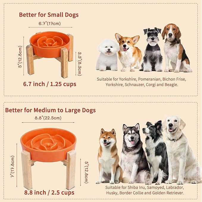 Elevated Slow Feeder Dog Bowl - Image 7