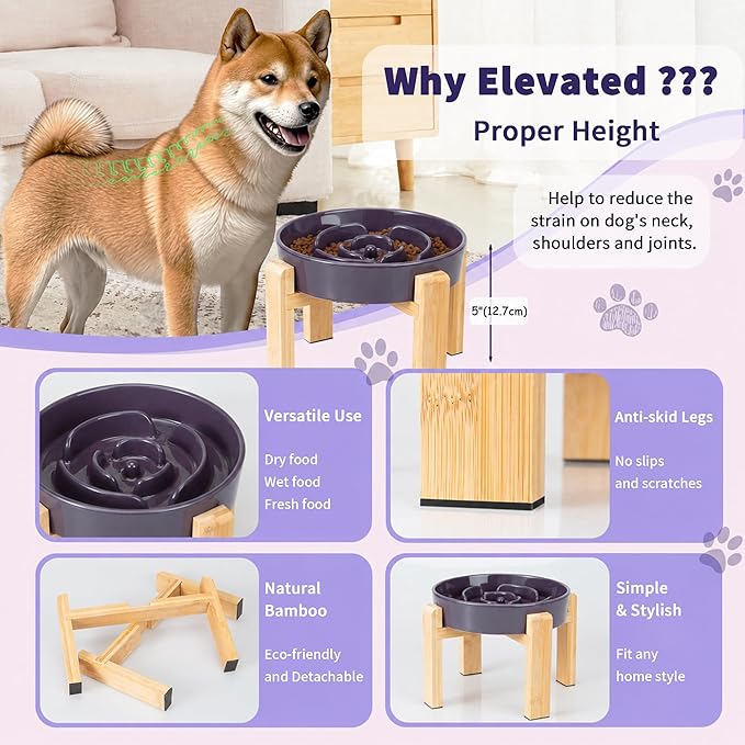 Elevated Slow Feeder Dog Bowl Large Breed, 8.8 Inch Ceramic Slow Eating Bowl - Image 3