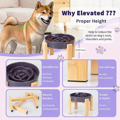 Elevated Slow Feeder Dog Bowl Large Breed, 8.8 Inch Ceramic Slow Eating Bowl - Image 3