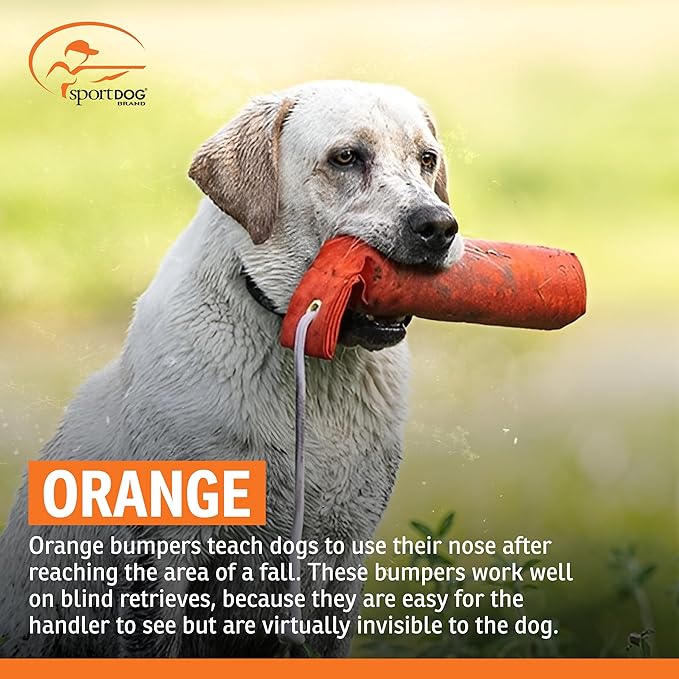SportDOG Canvas Dummies - Image 7