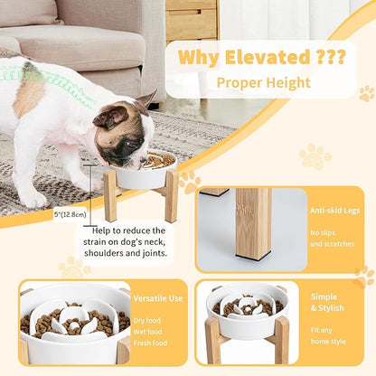 Elevated Slow Feeder Dog Bowl - Image 4